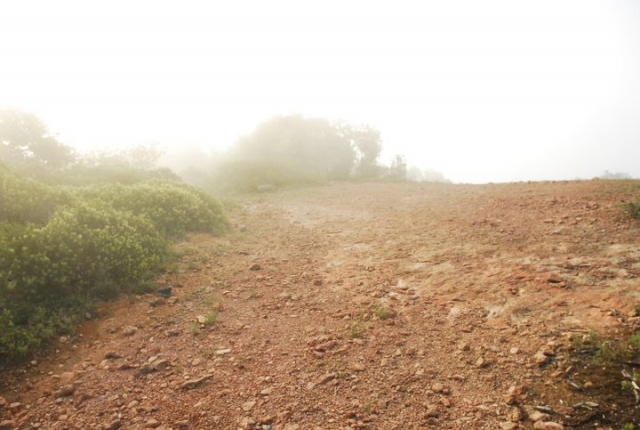 Cuando baja la niebla